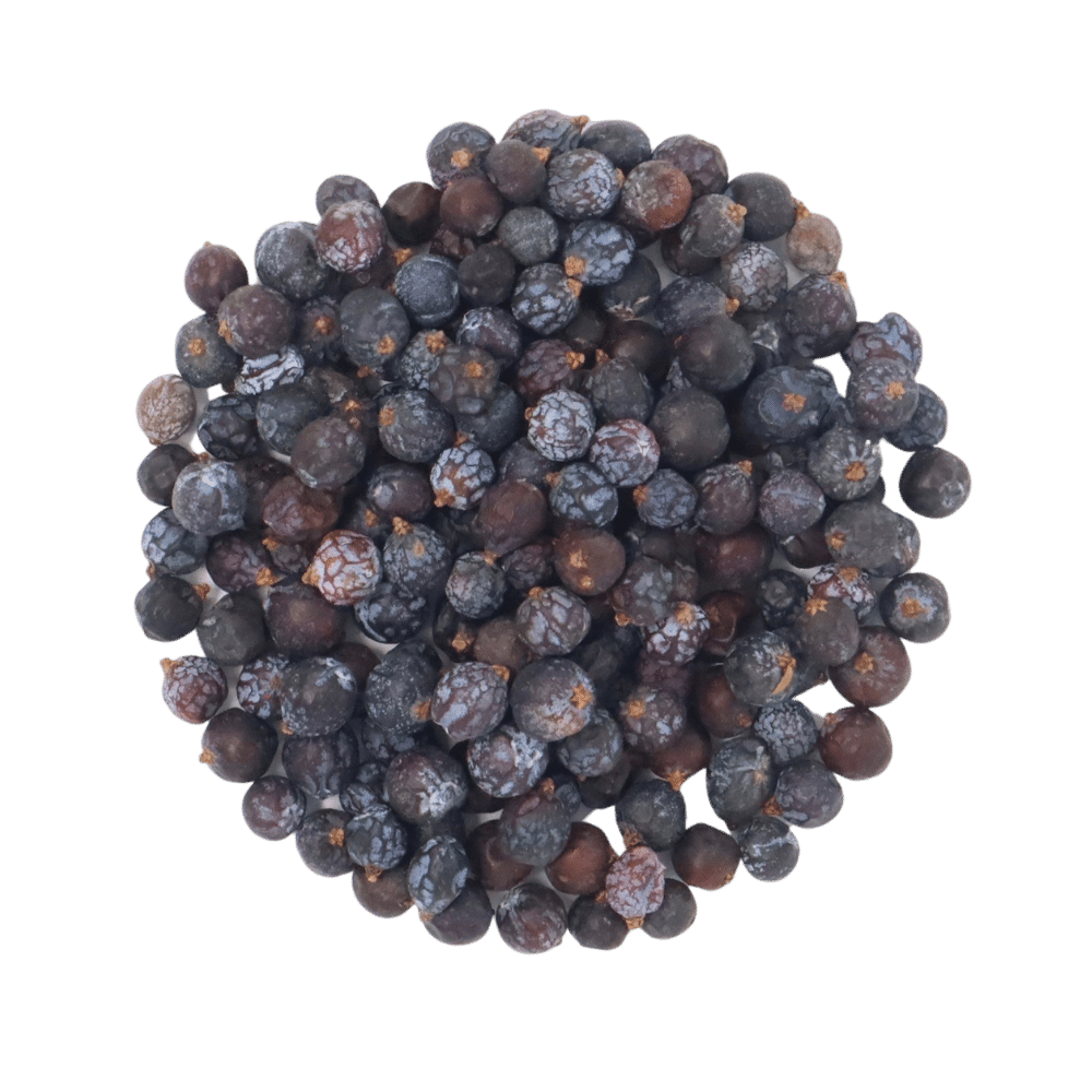 juniper-berry-dried