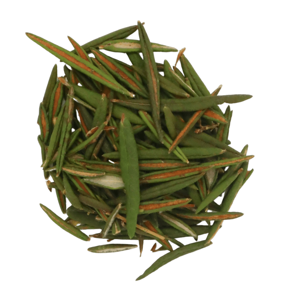 labrador-tea-dried
