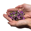 west-coast-breeze-herbal-tea