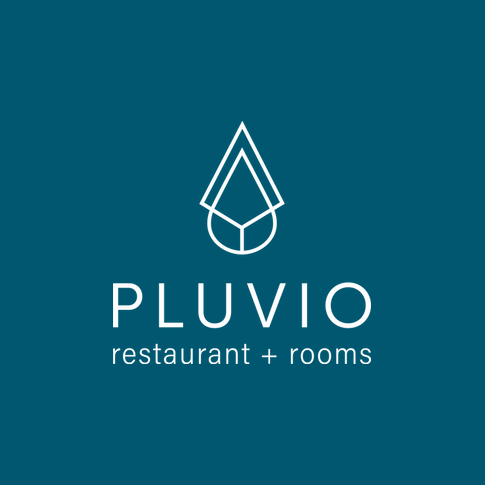 Pluvio logo