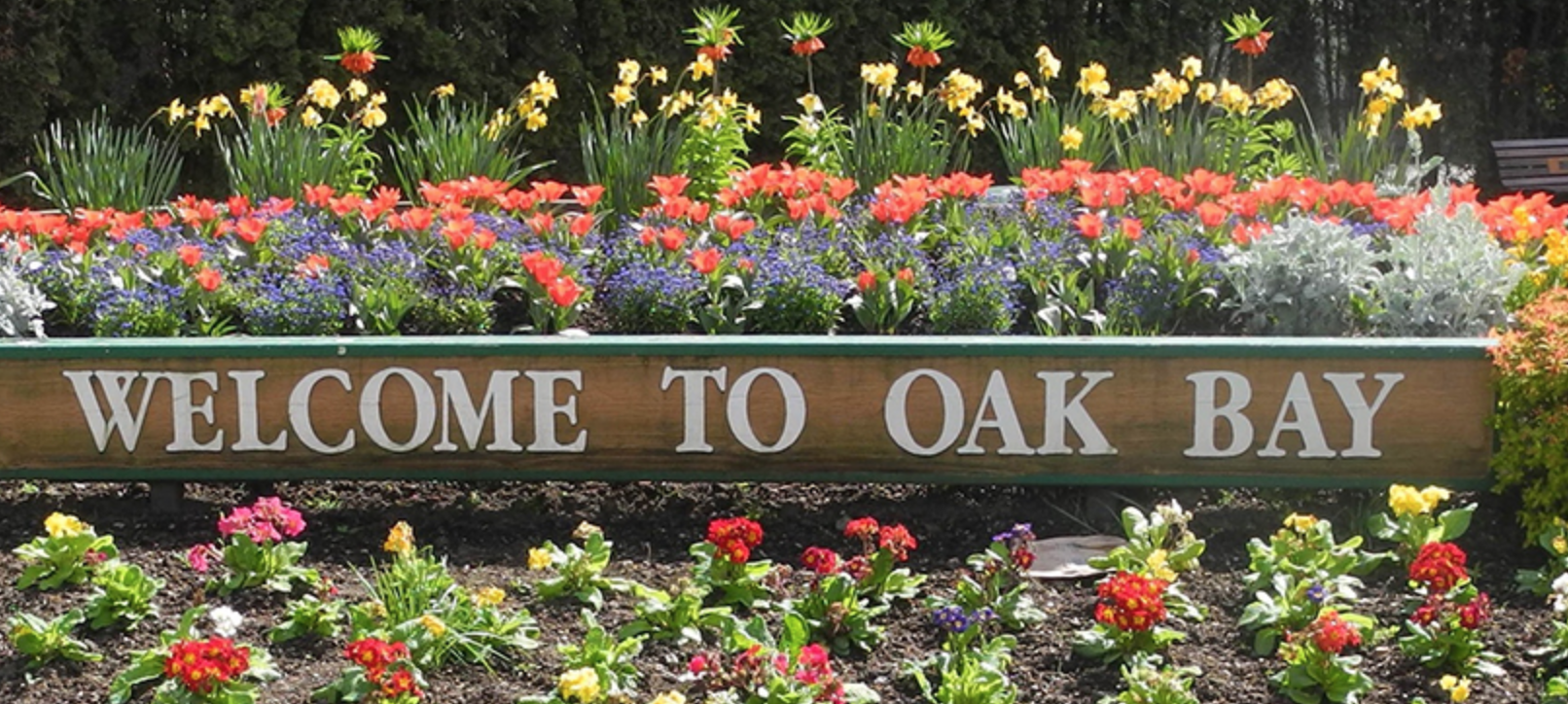 Oak Bay night market