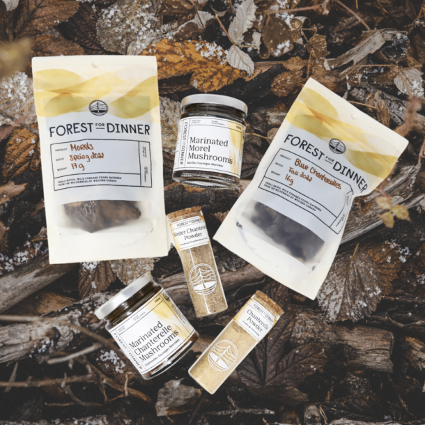 The-Forager-products