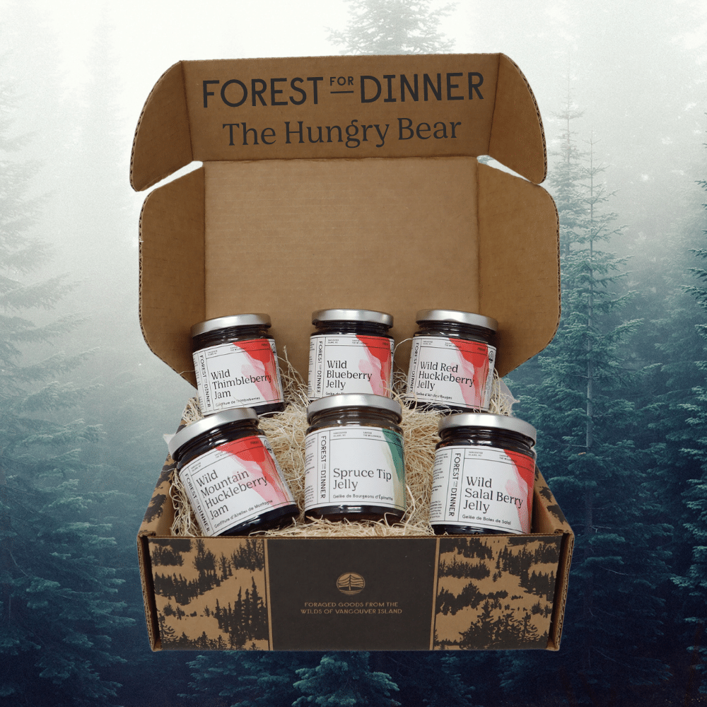 The-Hungry-Bear