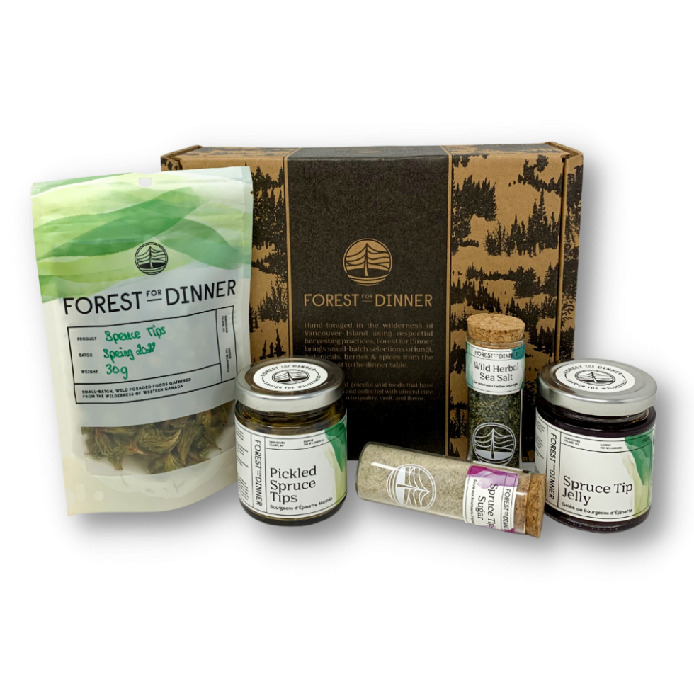 "The Sitka Spruce" gift box Forest For Dinner Wild Food Specialist