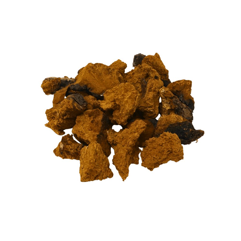 dried chaga mushrooms