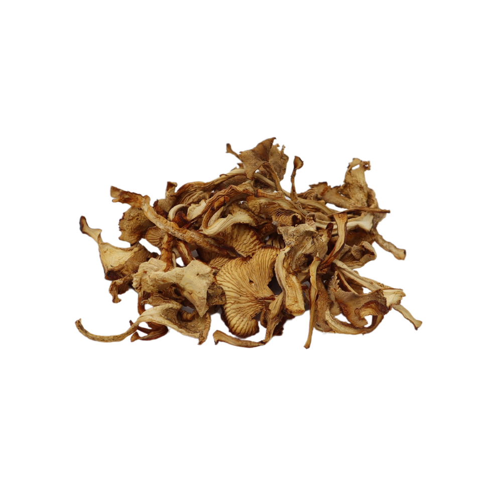 dried-chanterelles