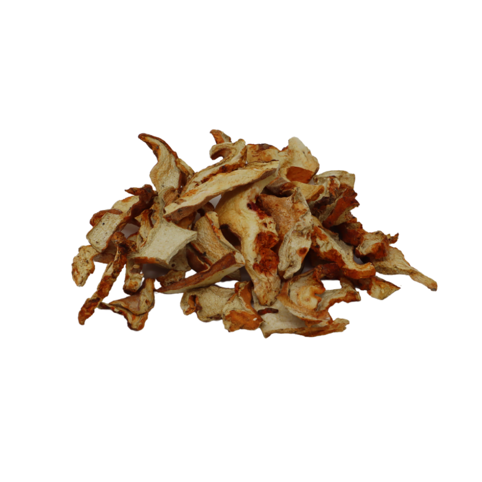 dried-lobster-mushrooms-forest-for-dinner-wild-food-specialist-on