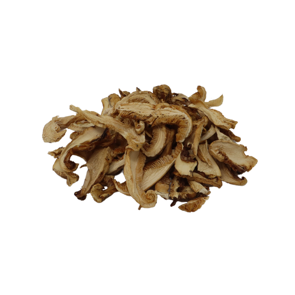 dried-pine-mushrooms (2)