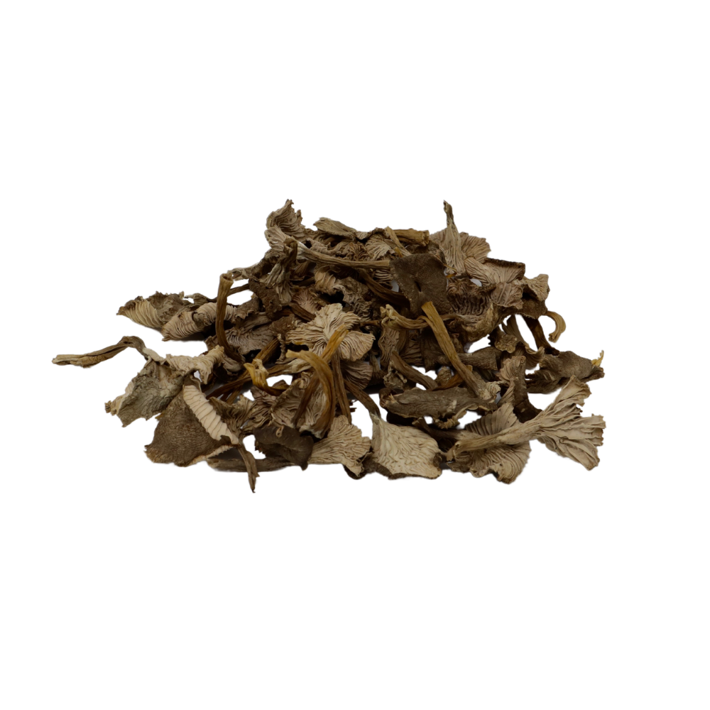 dried-winter-chanterelle