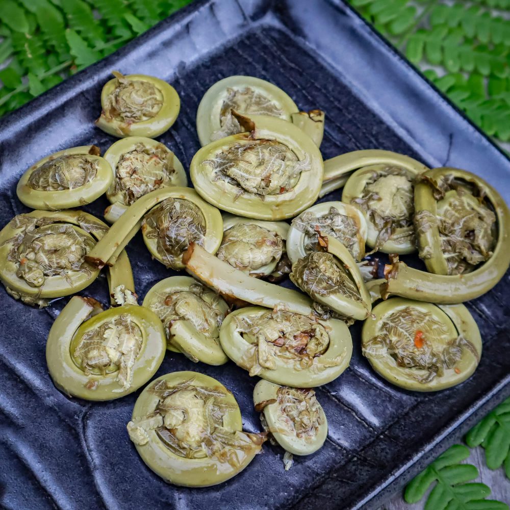 fiddleheads-lifestyle-square-tiny