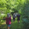 foraging-tour-