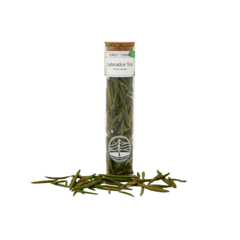 Labrador Tea Labeled Dried Labrador Tea - Forest For Dinner | Wild Food Specialist on ...