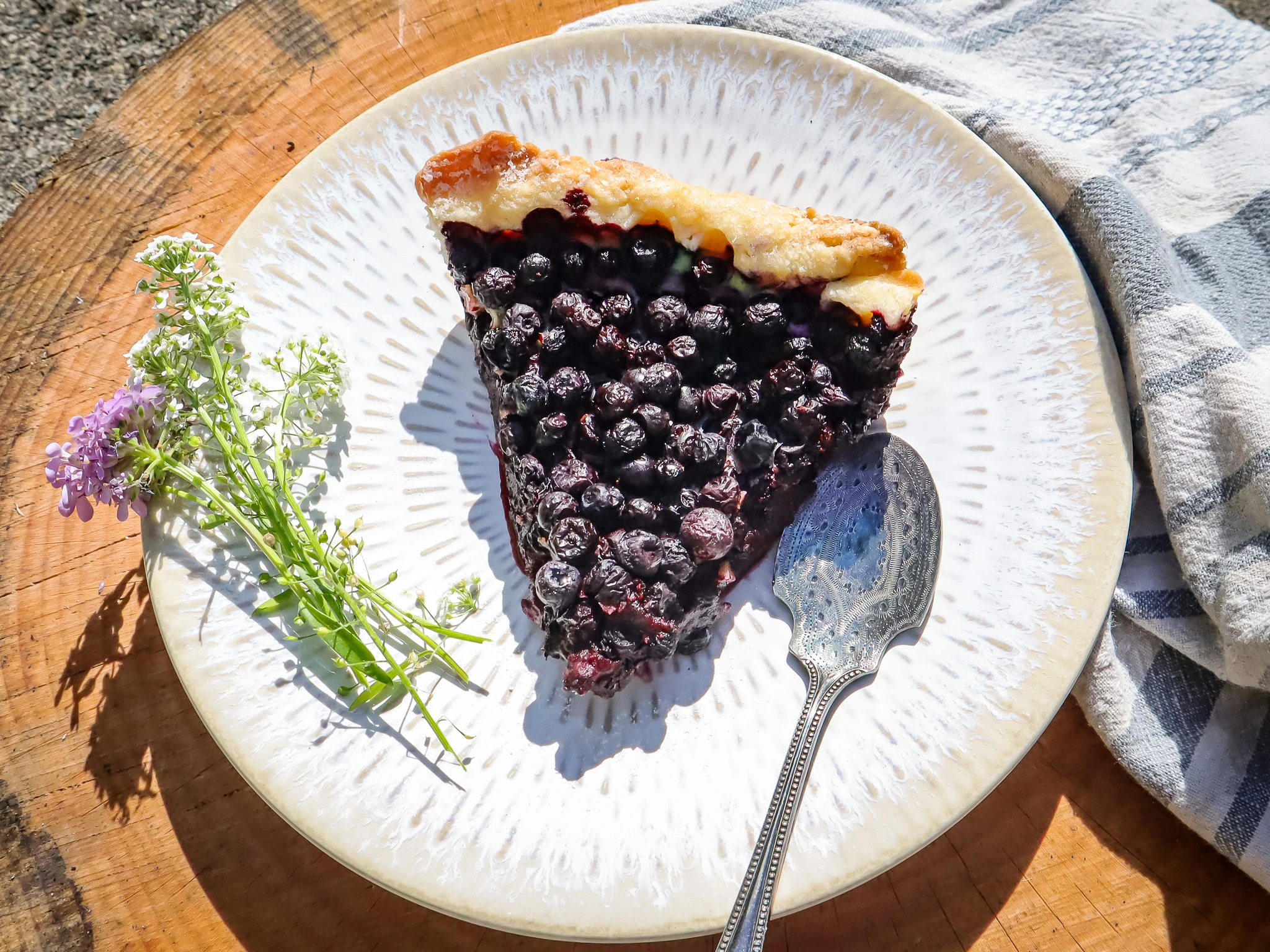mountain-huckleberry-pie