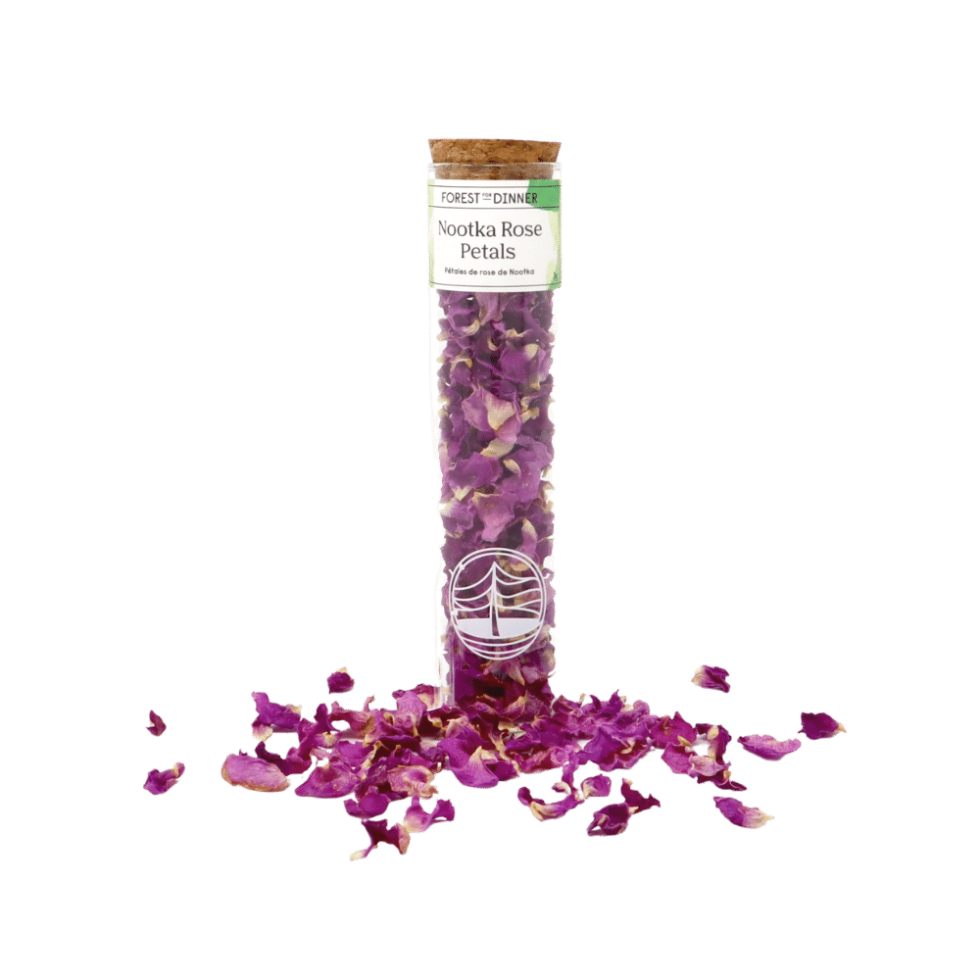 dried-nootka-rose-petals-forest-for-dinner-wild-food-specialist-on