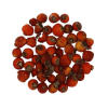 rose-hips-tube