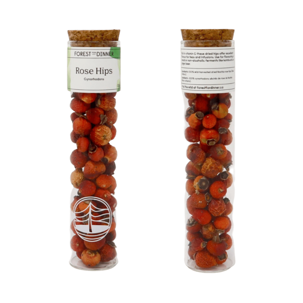 Dried Rose Hips Forest For Dinner Wild Food Specialist on Vancouver