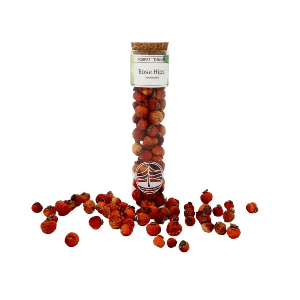 Dried Rose Hips Forest For Dinner Wild Food Specialist On Vancouver dried-rose-hips-forest-for-dinner-wild-food-specialist-on-vancouver