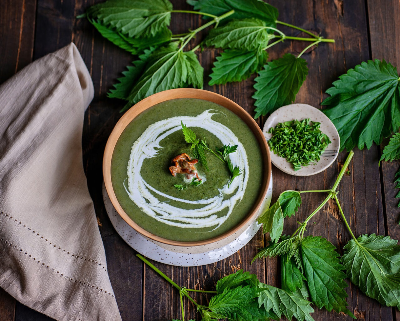 Stinging Nettle Soup Forest For Dinner Wild Food Specialist on