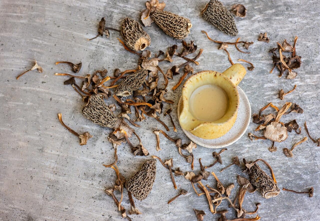 Wild Mushroom Sauce - Forest For Dinner | Wild Food Specialist on